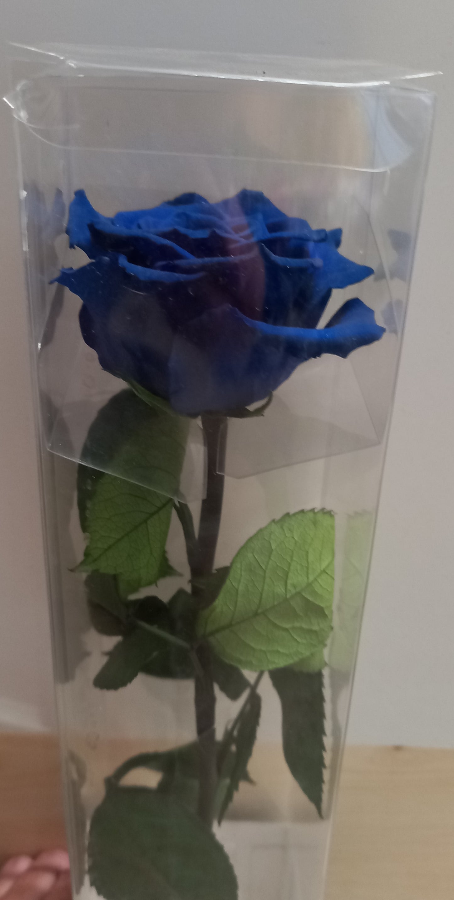 Rosa Blu Stabilizzata: Fiore Eterno e Regalo Originale