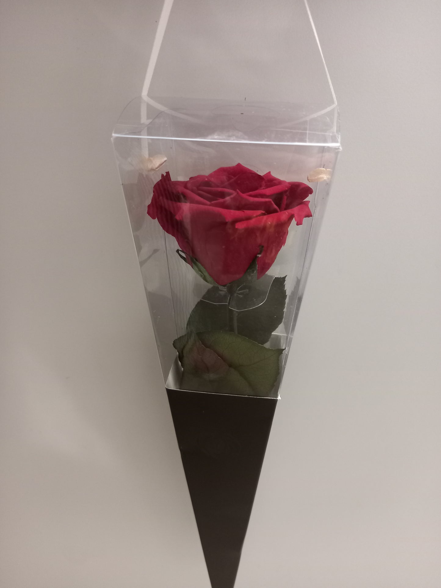 Rosa Rossa Stabilizzata | Fiore Eterno Romantico