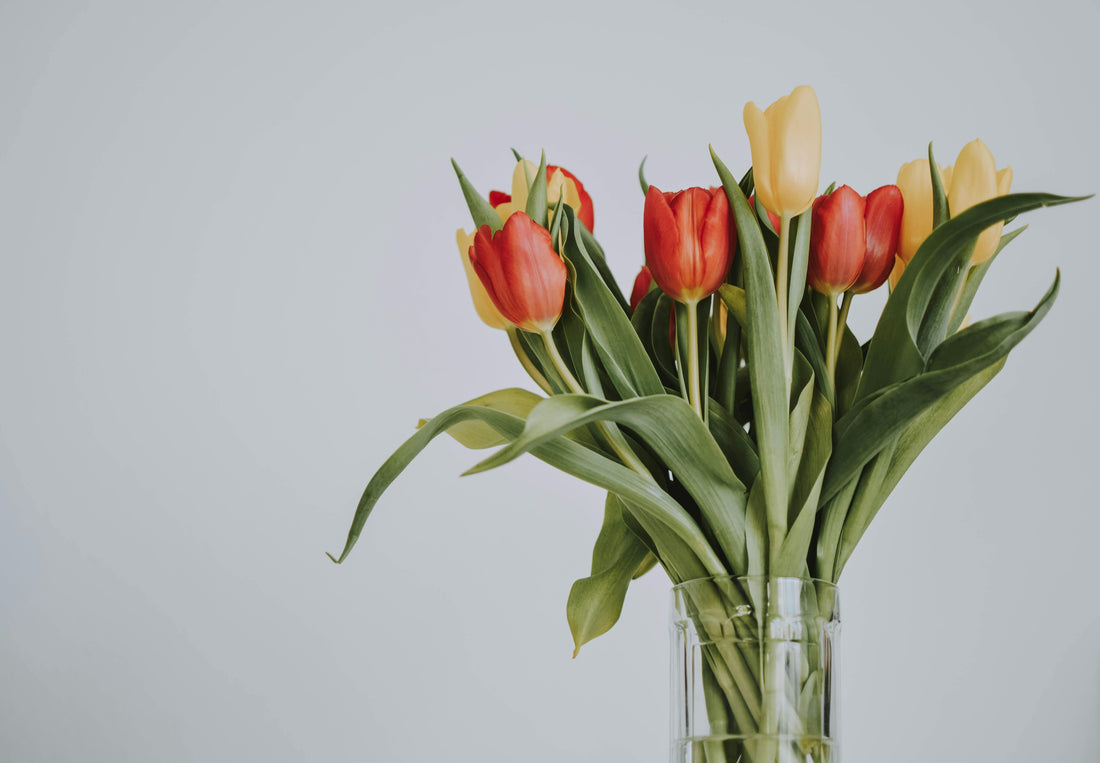 Benvenuti nel mondo di nonsolofiori.shop