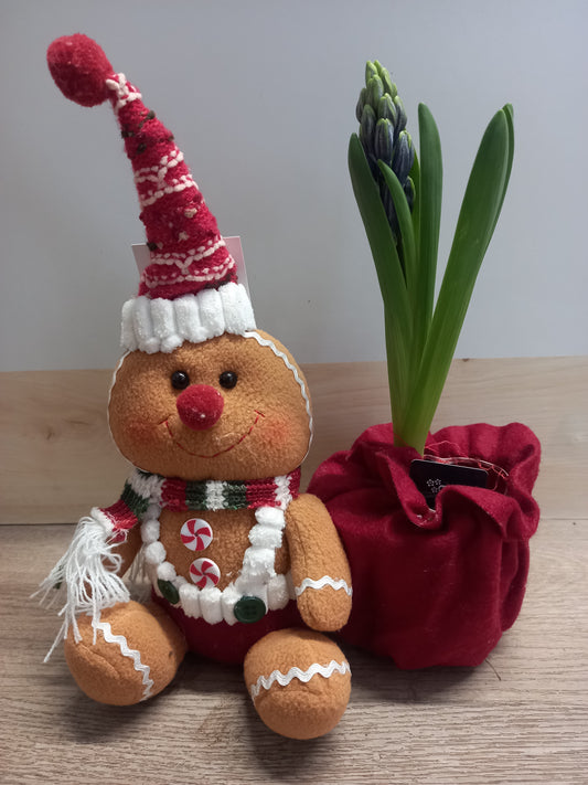 Pupazzo Pan di Zenzero con Bulbo di Giacinto Decorativo