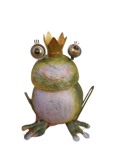 Principe ranocchio